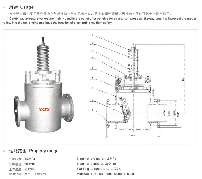 Safety Check Valve